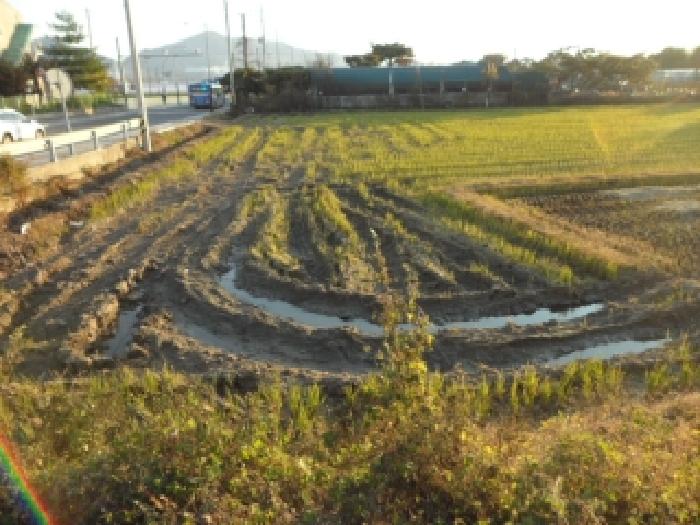 경매 물건 사진