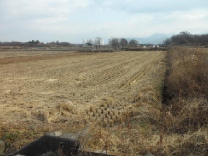 경매 물건 사진