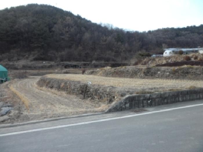 경매 물건 사진
