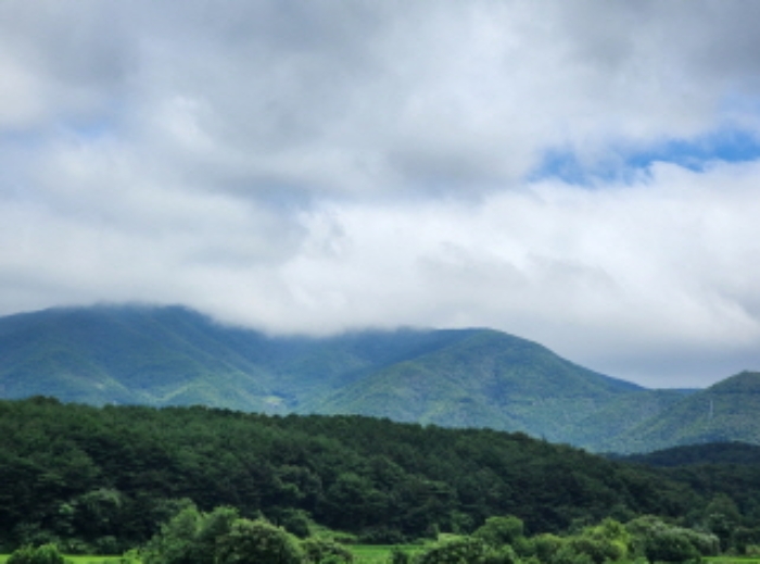 울주 두서면 토지 …