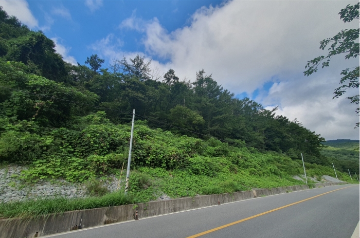 경매 물건 상세 사진