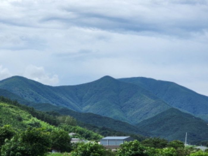 경매 물건 사진