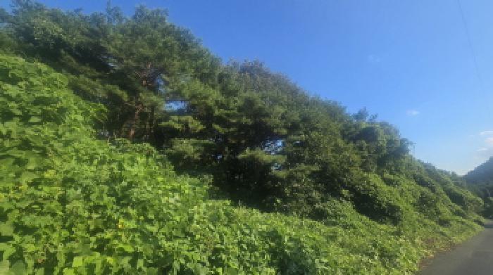 경매 물건 사진