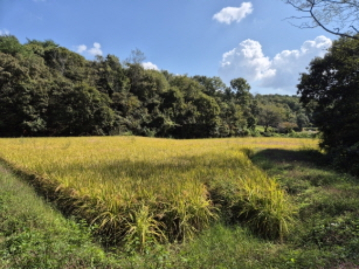 울주 청량읍 토지 …