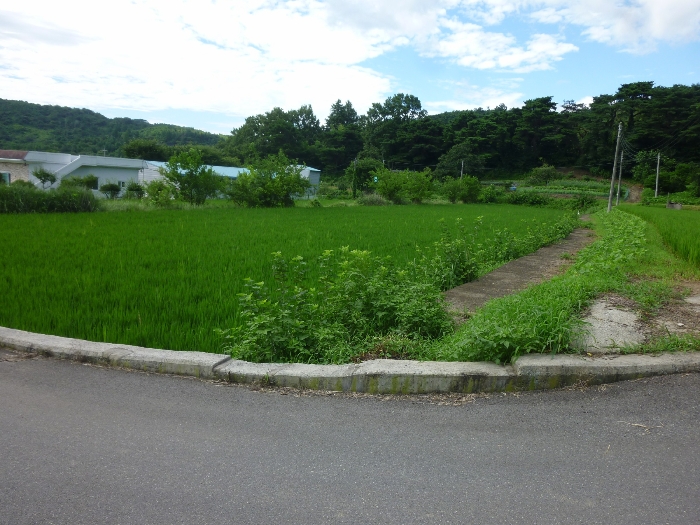경매 물건 상세 사진