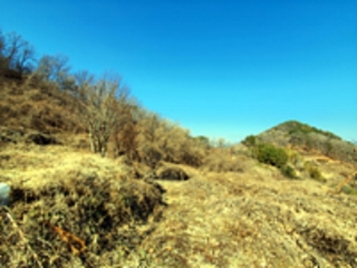 김해 우계리 토지 …