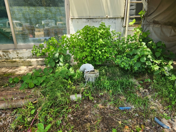 경매 물건 상세 사진