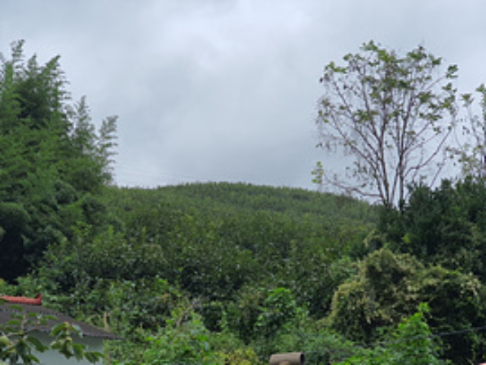 경매 물건 사진