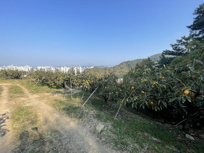 경매 물건 상세 사진
