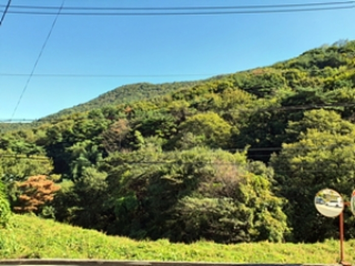 김해 상동면 부동산…