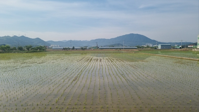 경매 물건 상세 사진