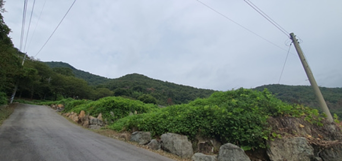 경매 물건 사진