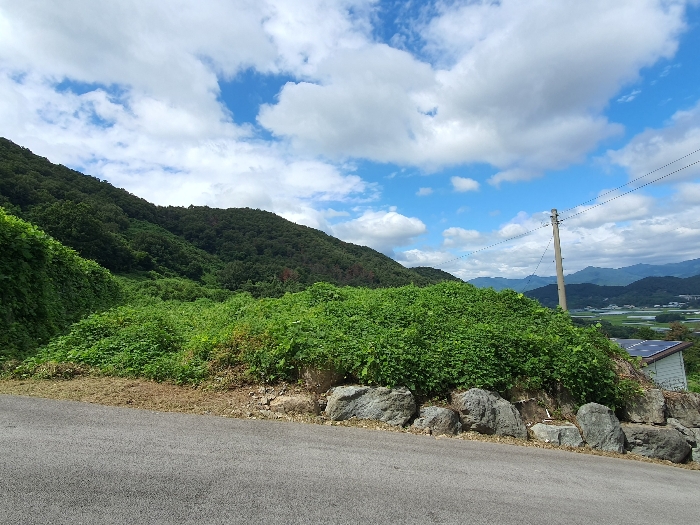 경매 물건 상세 사진