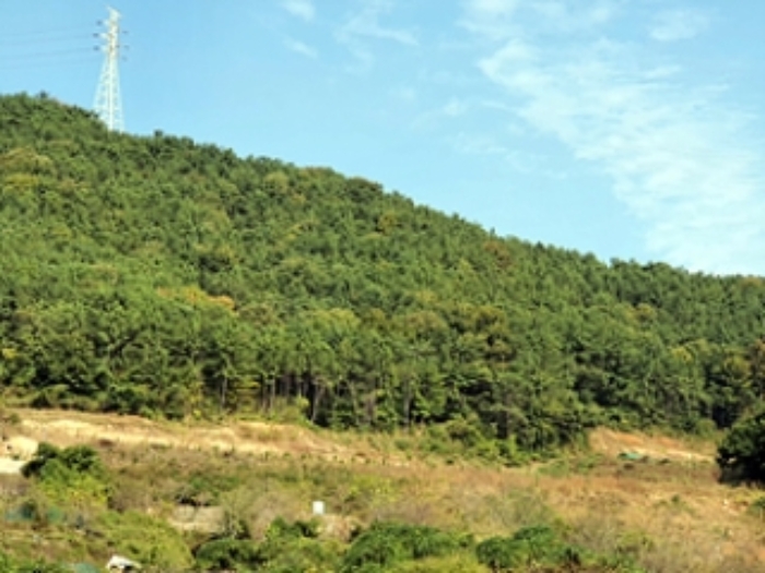 경매 물건 사진