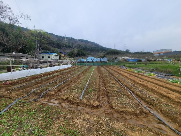 경매 물건 상세 사진