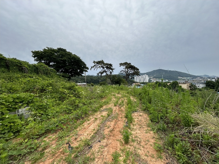 경매 물건 상세 사진