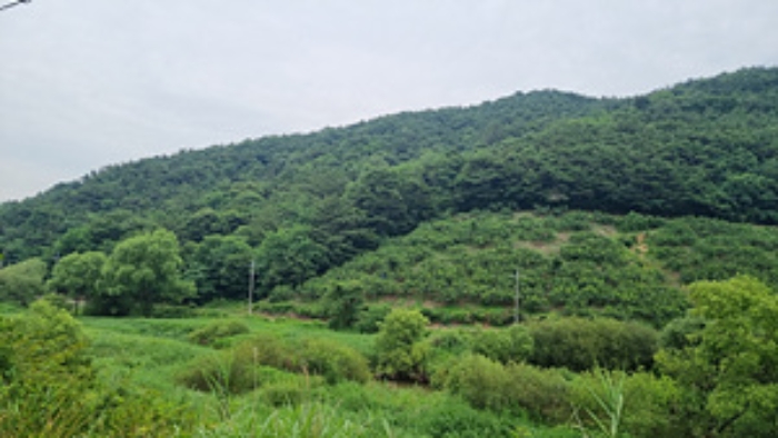 경매 물건 사진