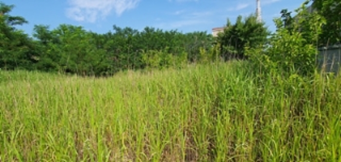 김해 진영읍 토지 …