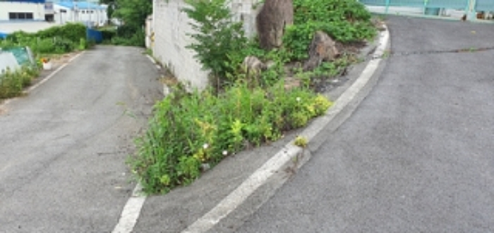 경매 물건 사진
