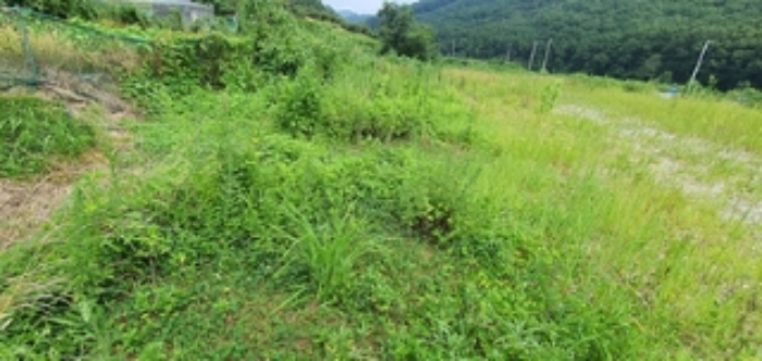 김해 주촌면 토지 …