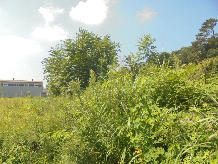 경매 물건 상세 사진