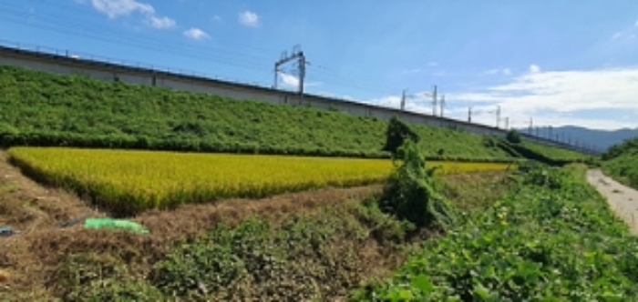 경매 물건 사진