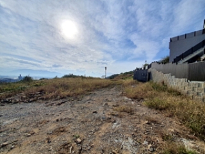 경매 물건 사진