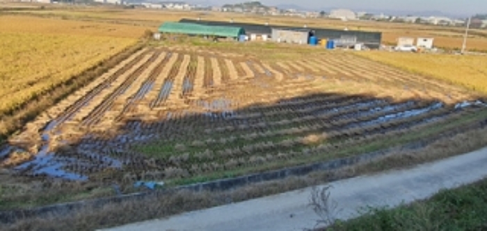 김해 장방리 토지 …