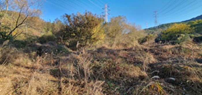 김해 주촌면 토지 …