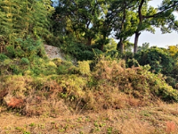 경매 물건 사진