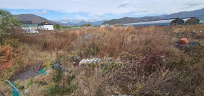 경매 물건 사진