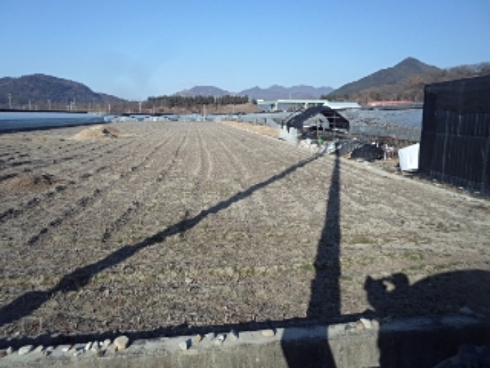 경매 물건 상세 사진