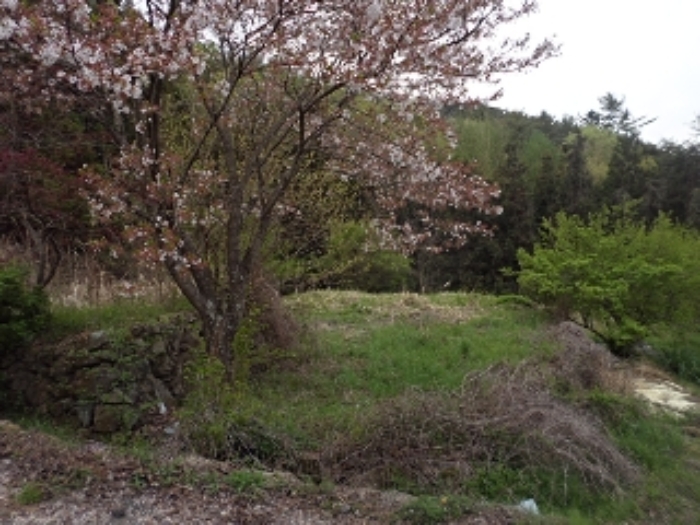 경매 물건 상세 사진