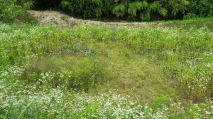 곡성 삼오리 토지 …