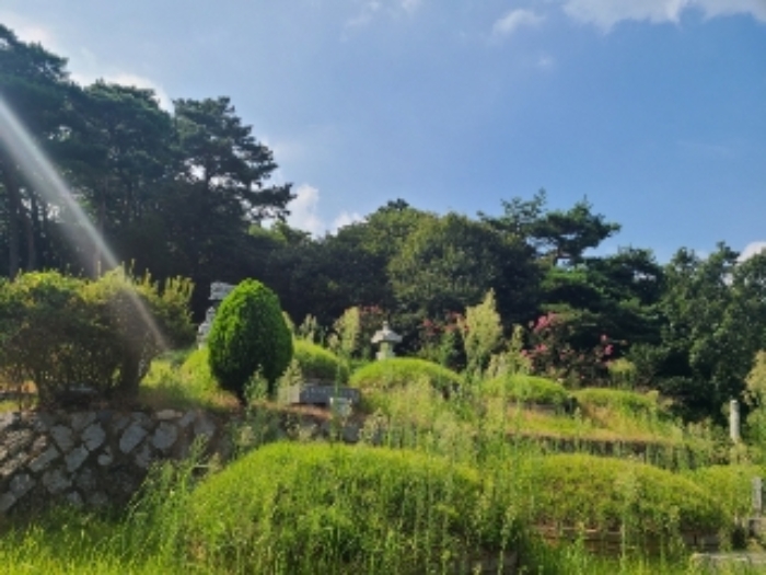 장성 진원면 임야 …