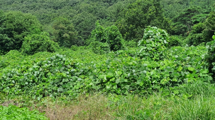 경매 물건 상세 사진