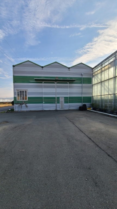 화순군 부동산 경매…