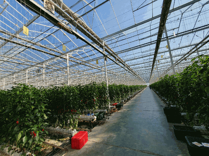 경매 물건 상세 사진