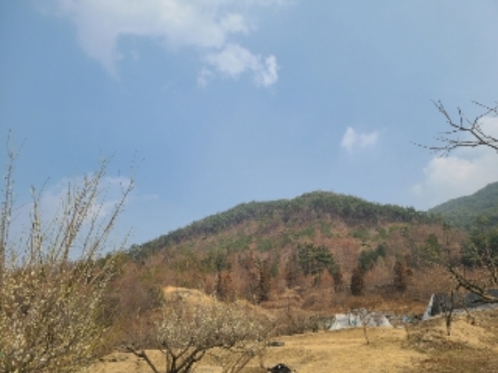 경매 물건 상세 사진