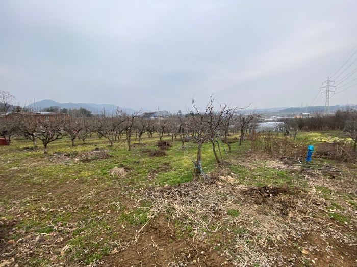 경매 물건 상세 사진