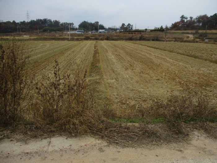 경매 물건 상세 사진