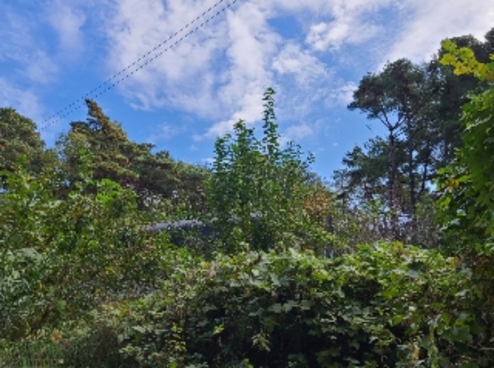 경매 물건 사진