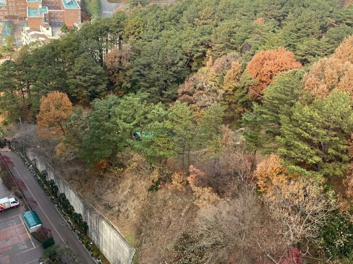 경매 물건 상세 사진