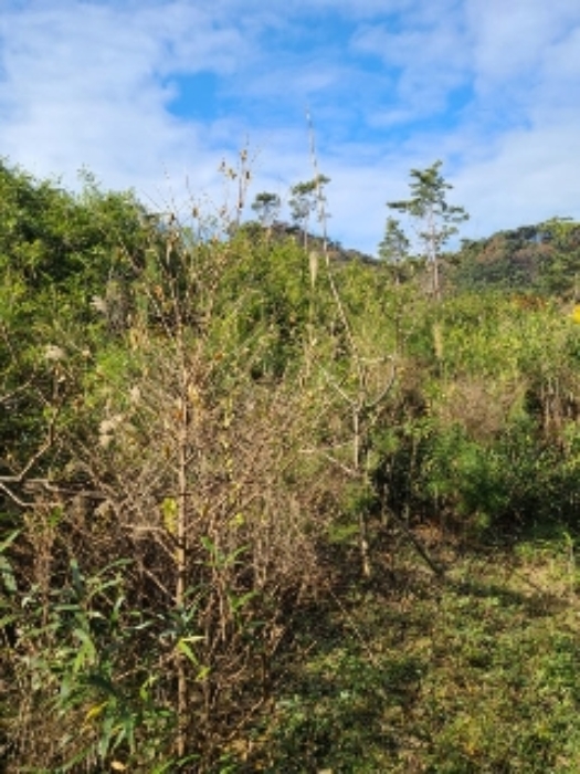 경매 물건 사진