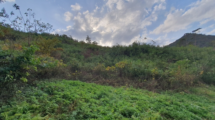 경매 물건 상세 사진