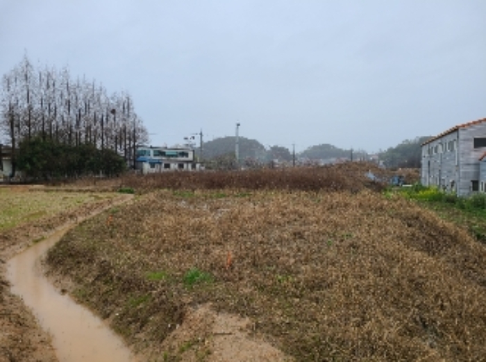 광주 월출동 부동산…