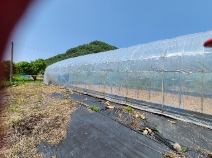 경매 물건 사진