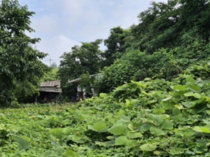 나주 용산동 토지 …