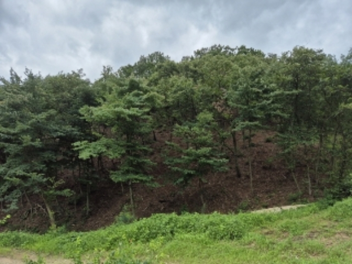 경매 물건 사진