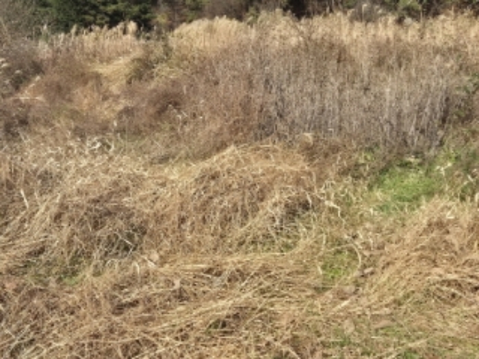 경매 물건 사진